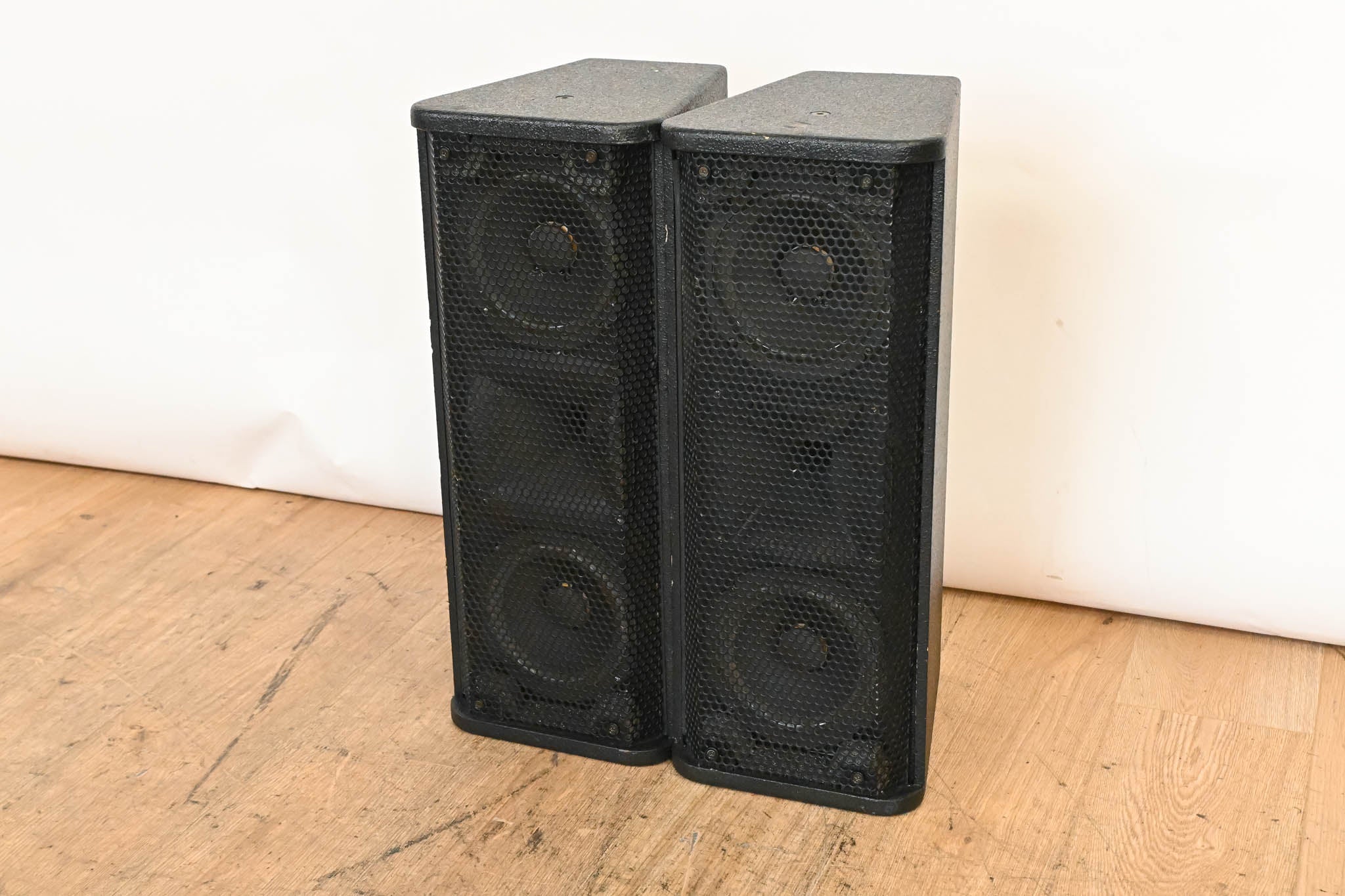 Bag End TA6000-R Two-Way Full Range Loudspeaker (PAIR)