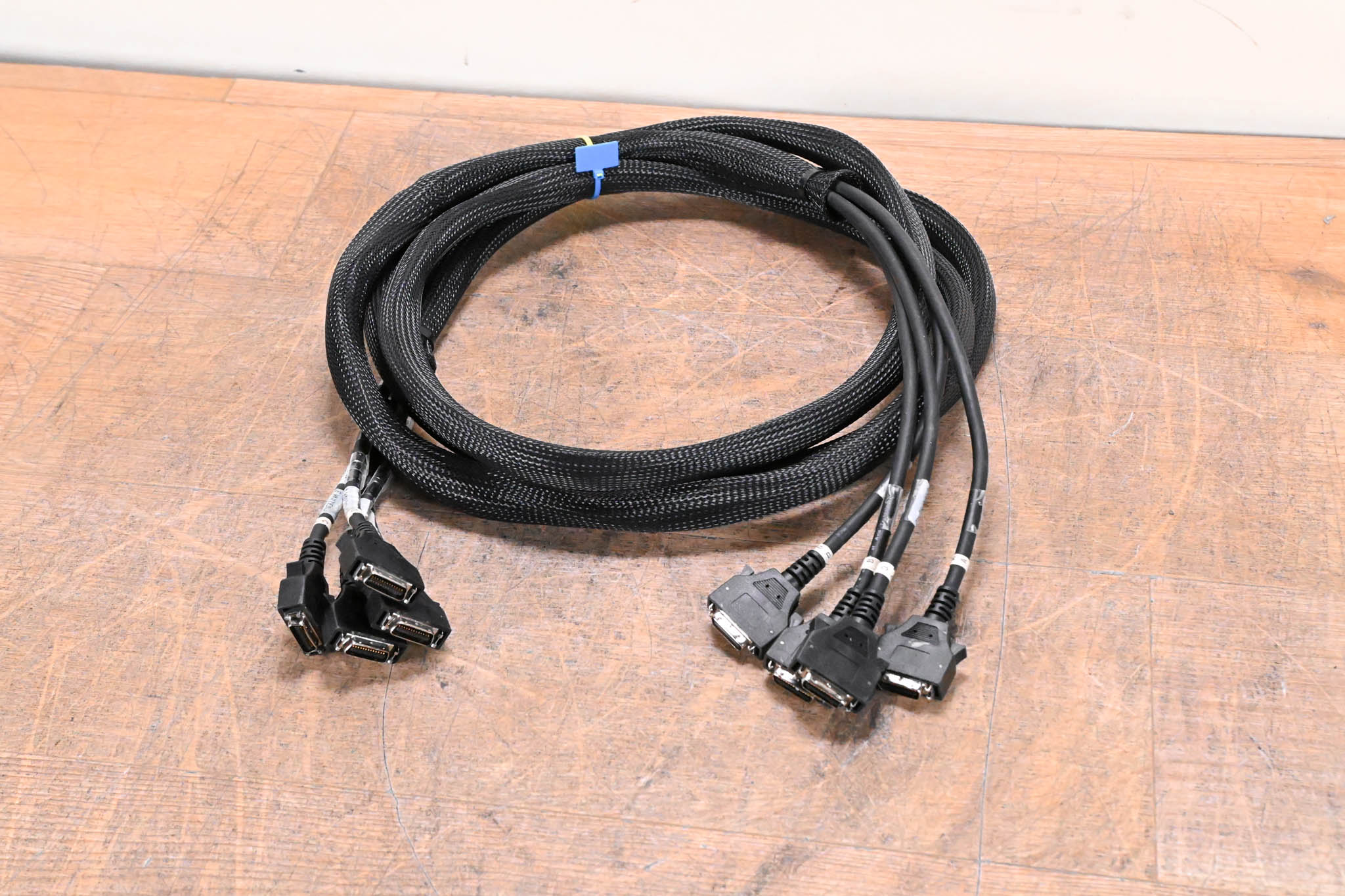 AVID DigiLink four Cable Loom - 12 ft / 3.6 m